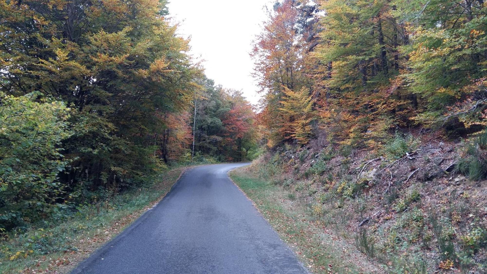 Gite Les Ducs Mialanes Kültér fotó